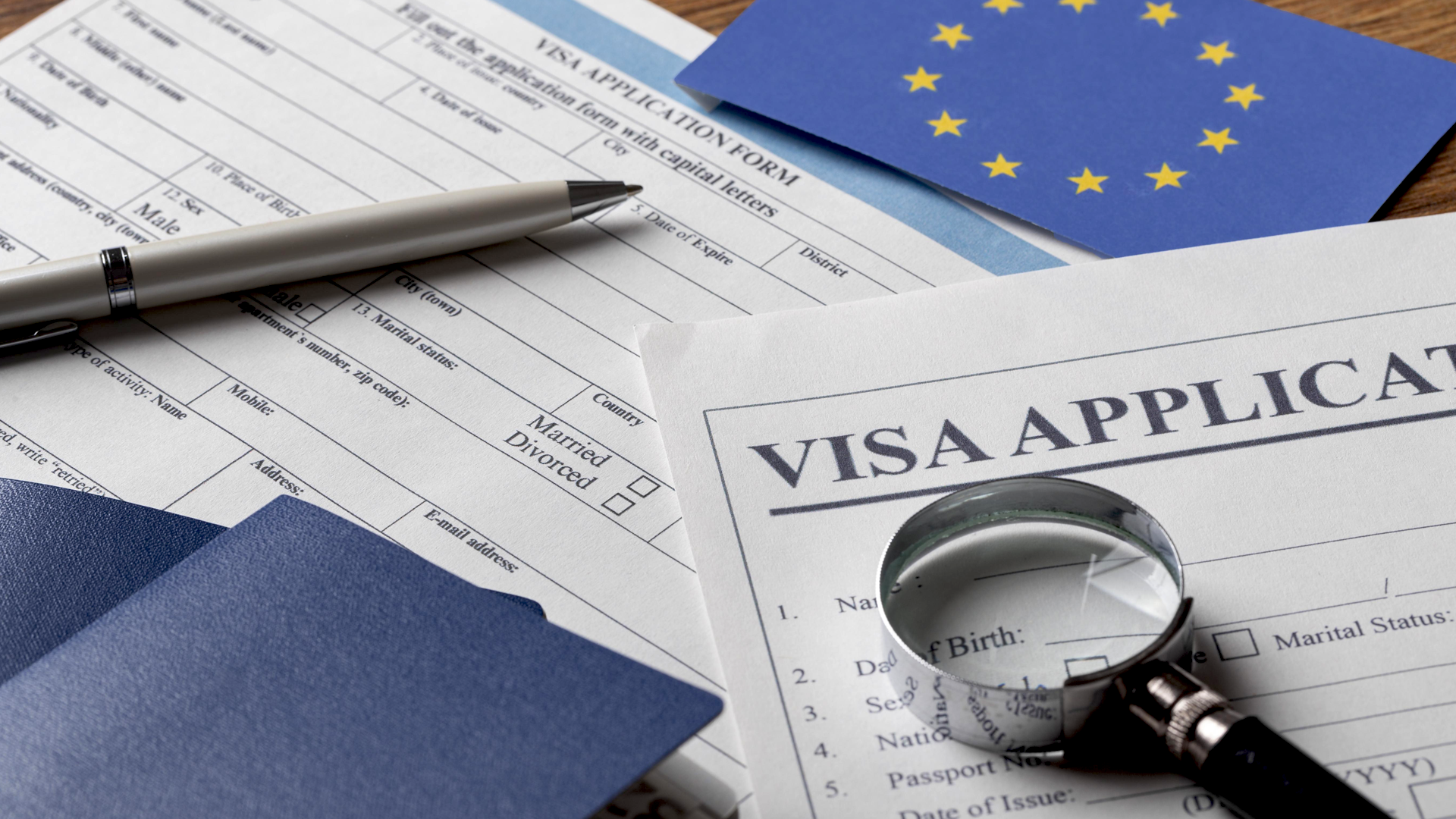 Step-by-Step Guide to visa application check Progress