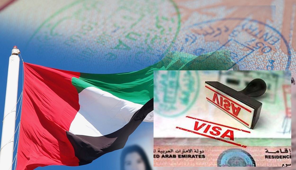 What is UAE visa reference number?