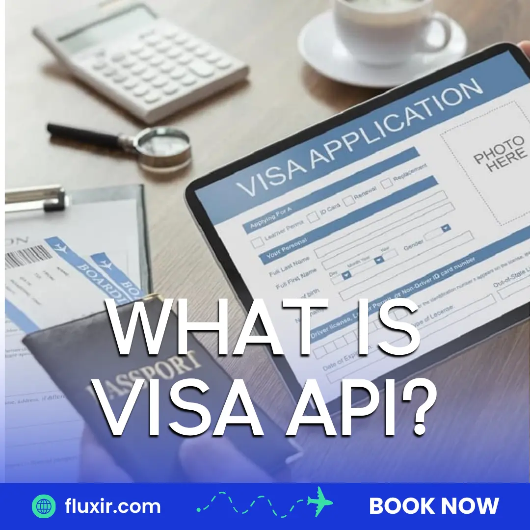 visa api