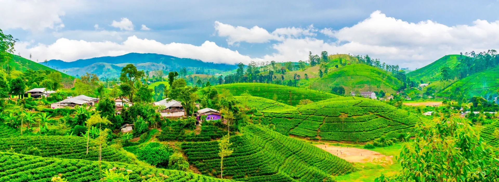 travel visa for sri lanka
